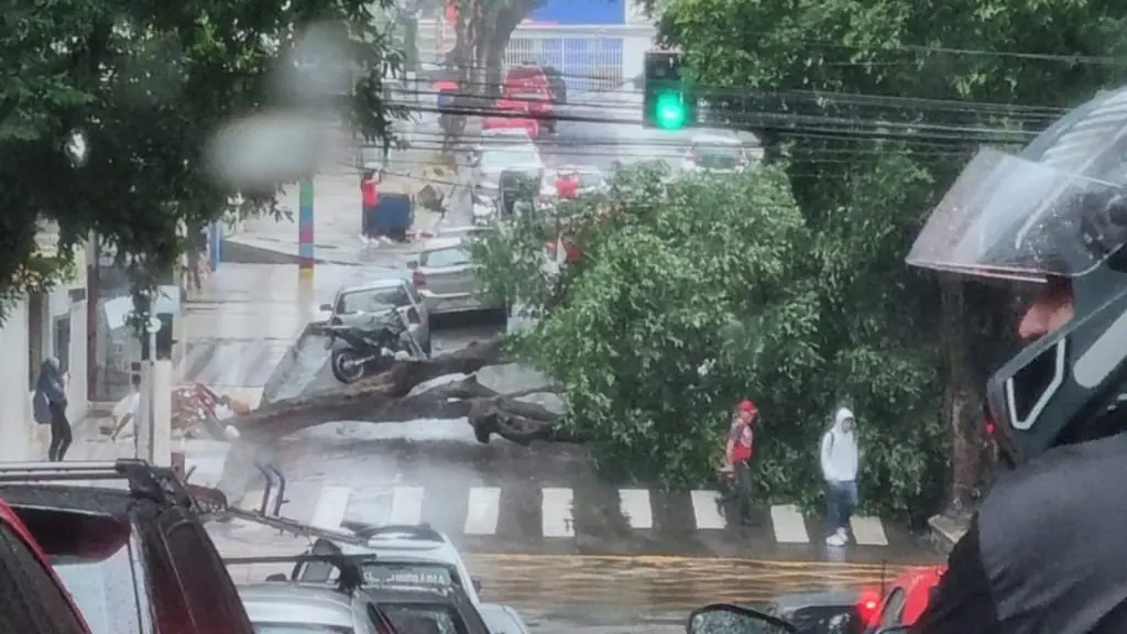 Defesa Civil Atende Ocorrências Causadas Por Chuva Sugestão De Pauta 